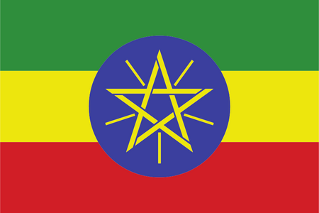 Panele online e mobile in Etiopia